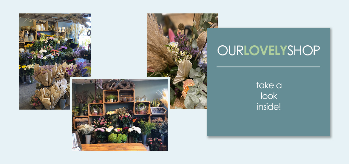 Leicester Florist Blooms 4 You 0116 251 3768